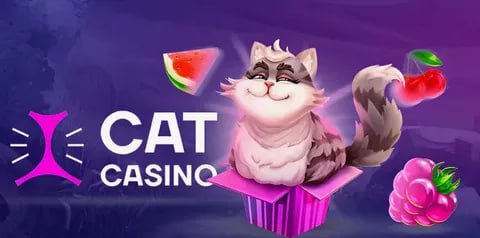 cat casino